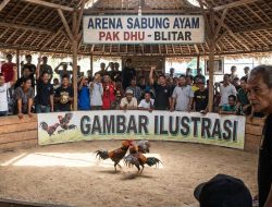 Publik Geram, Polresta Blitar Seolah Tutup Mata dan Lumpuh Hadapi Pak Dhu Bandar Judi Jatilenger.!