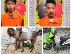 Polsek Tanjung Bintang Ungkap Sindikat Pencurian Kambing di Tanjung Bintang, Dua Pelaku Ditangkap Bersama Barang Bukti