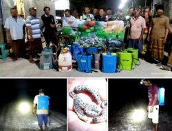 Malam Serentak, Petani Desa Jubellor Brantas Secara Masal Hama Ulat Semangka