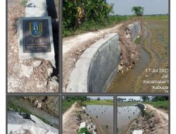 Dinas Pertanian Tuban “Mbodoh” Saat Dikonfirmasi Soal Ambrolnya TPT di Desa Plumpang