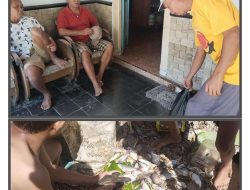 Cari Impatik Warga, Pabrik Gula PT SGN PG Rejosari Magetan Sebar Bibit Ikan dan Bagikan Gula Kepada Warga