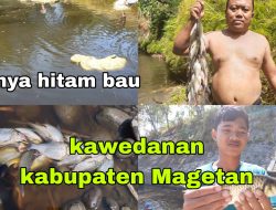 Menunggu Pernyataan dan Tindakan Dinas Lingkungan Hidup, Ribuan ikan Mati, Airnya Bau, Warna Hitam. Siapa yang Harus Bertanggungjawab???