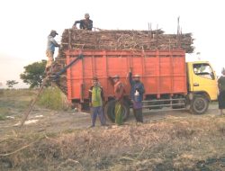 Puluhan Karyawan PT Perkebunan Nusantara PTPN X Ngasem Bojonegoro Keluhkan Gaji yang Tak Dibayar