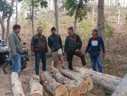Petugas Perhutani Tuban Gagalkan Aksi Pencurian Kayu Jati, 1 Pelaku Diringkus