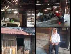 Tinggal Dirumah Belapis Bambu, Nenek Saudah Warga Desa Jondong Butuh Perhatian Pemerintah