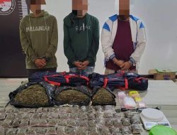 Ringkus 3 Pria, Satresnarkoba Polres Kutai Kartanegara Sita 3 Kilogram Ganja Kering