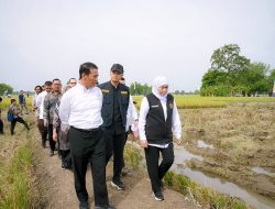 Laksanakan Panen dan Tanam Padi di Widang, MENTAN Arman Sulaiman Puji Pertanian Kabupaten Tuban