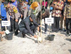 Mas Lindra Bersama Kapolres dan Forkopimda Tanam Pohon Mangrove