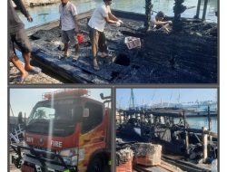 Tim Damkarat Lampung Selatan Sigap Dan Cepat Beraksi Padamkan Sijago Merah