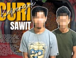 Dua Pria Asal Kubu Raya Jadi Tersangka Akibat Lakukan Pencurian Buah Sawit PT.BPK