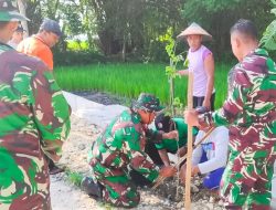 Kurangi Dampak Pemanasan Global, Babinsa Koramil Kapas Bojonegoro dan Pemdes Bendo Tanam Pohon Penghijauan