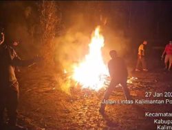 Tidak Main Main Kapolres Melawi Tindak Tegas Arena Kegiatan Judi Sabung Ayam