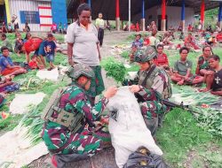 Jualan Mama Dilahap Buaya Putih