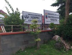 Kabid Disperindustrian Lamsel Tanggapi Keluhan Warga Kalianda Terkait Gas LPG 3 Kg, Begini Katanya !