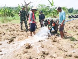 Sukseskan Program Pompanisasi Kementan, Babinsa Kodim Bojonegoro dikerahkan Dampingi Petani