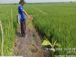 Garis Police Line di TKP Hilang Tanpa Arah, Keluarga Korban Jebakan Tikus di Ngawi di Ambang Kecurigaan
