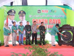 Solidnya Forkopimda Kota Blitar, Gelar Panen Padi Sehat Dan Adat Methik Pari Kota Blitar 2024