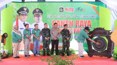 Solidnya Forkopimda Kota Blitar, Gelar Panen Padi Sehat Dan Adat Methik Pari Kota Blitar 2024