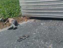 Kecelakaan di Parengan Mobil Penumpang Adu Banteng dengan Pemotor Hingga Terguling