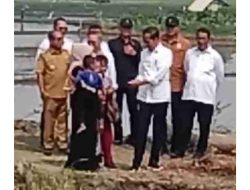 Presiden RI Joko Widodo Setelah Serahkan Bantuan, Ikut Terjun Kesawah
