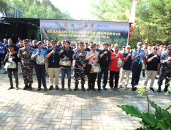 Peringati Hari Mangrove Sedunia, Siswa Suspa Potmar TNI AL Lattek Penanaman Mangrove