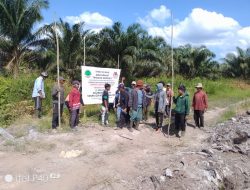 Janji Palsu Perusahaan Sawit PT RJP Buat Masyarakat Marah, Hingga LBH Investigasi