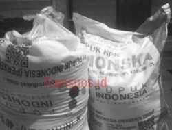 Sulitnya Pupuk Bukan Hanya HET, Melainkan Pupuk Subsidi Diduga Banyak Masuk Ke Pemupukan Tanaman Tebu