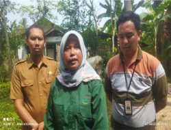 PT. JJAA Berikan Vaksin PMK dan LSD untuk Ternak Sapi Milik Warga di Kecamatan Sidomulyo