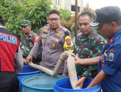 Sinergitas Polres Lampung Selatan dan Kodim 0421/LS dalam Penyaluran Bantuan Air Bersih untuk Warga Terdampak Kekeringan