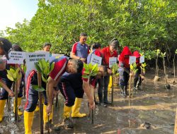 Bakamla RI Tanam 39.000 Bibit Mangrove di Batam