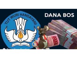 Dana BOS SDN1 kecamatan Palas di Pertanyakan oleh Publik