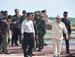 Panglima TNI Dampingi Presiden RI Tinjau Program Swasembada Pangan Nasional di Merauke