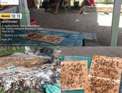 Warga Desa Wotanngare Keluhkan Limbah Kotoran Ayam, Kades Belum Ambil Tindakan