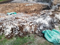 Bau Tak Sedap Limbah Ternak Ayam Wotanngare