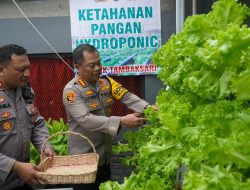 Surprise..!! Bisa Panen Sayur Hidroponik di Polsek Tambaksari,Begini Reaksi Kapolrestabes Surabaya