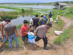 Debit Air Sungai Way Sekampung Terus Bertambah, Inisiatif Warga Desa Bandar Agung bendung tanggung dengan Kantong tanah