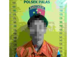 Polsek Palas Tangkap Pelaku Penggelapan Motor di Lampung Selatan.