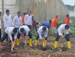 LAPAS KOTABUMI PANEN RAYA UBI GALAKAN PROGRAM KETAHANAN PANGAN
