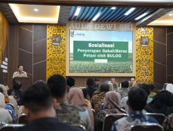 Dukung Program Pemerintah Pusat, Pemkab Tuban Bersama Bulog Serap Gabah Petani