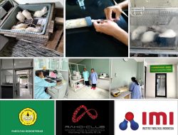Uji Pre Klinis Kolaborasi IMI-FK Unsoed-RAHO Club