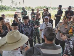 Kapolres Blitar Bersama Bupati dan Forkopimda Laksanakan Panen Raya di Kabupaten Blitar