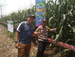 Bhabinkamtibmas Polresta Banyuwangi Lakukan Pendampingan; Dukung Program Asta Cita Presiden melalui Ketahanan Pangan