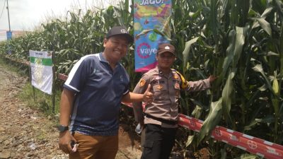 Bhabinkamtibmas Polresta Banyuwangi Lakukan Pendampingan; Dukung Program Asta Cita Presiden melalui Ketahanan Pangan