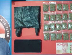 Satresnarkoba Polres Pelabuhan Tanjung Perak Amankan Seorang Penjaga Warkop Kedapatan Simpan Ganja Kering