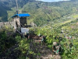 Diatas Lereng-Lereng, Satgas Yonif 715 Giatkan Program Ketahanan Pangan di Daerah Penugasan