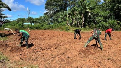 Dari Lahan Kosong Menjadi Harapan, TNI Dorong Kemandirian Pangan