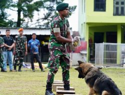 Tingkatkan Kemampuan K9 TNI, Panglima TNI Tinjau Pelatihan Anjing Pelacak di Bogor