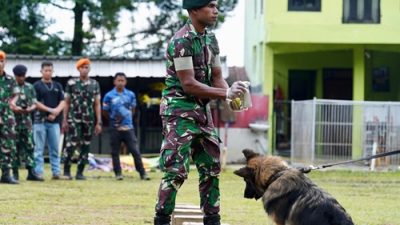 Tingkatkan Kemampuan K9 TNI, Panglima TNI Tinjau Pelatihan Anjing Pelacak di Bogor