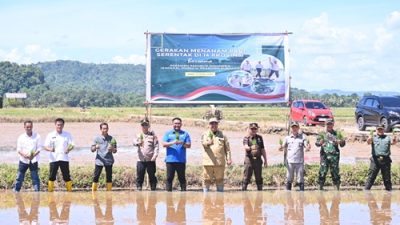 Kadispotdirga Lanud Sultan Hasanuddin Hadiri Penanaman Padi Serentak Yang Dipimpin Presiden RI