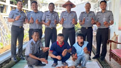 Sukses Besar, Kalapas Kalianda Pimpin Panen Ubi Hasil Warga Binaan